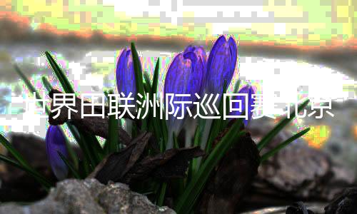 世界田联洲际巡回赛北京站：中国选手收获四金