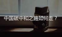 中国碳中和之路如何走？5位院士畅谈科技创新助力碳中和