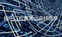 柏乐口腔青秀山森林徒步
