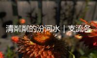 清粼粼的汾河水｜支流各处好风光 碧波清流漾吕梁