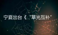 宁夏出台《“草光互补”“林光互补”光伏发电项目生态环境监督办法（试行）》
