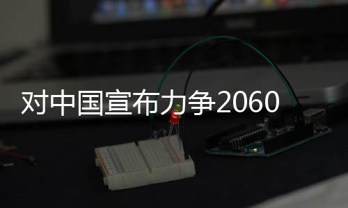 对中国宣布力争2060年前实现碳中和这一承诺的影响的评论