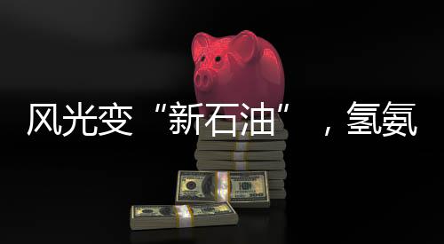 风光变“新石油”，氢氨醇一体化有多神奇