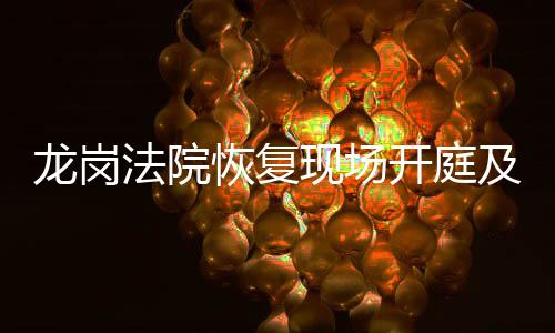 龙岗法院恢复现场开庭及诉讼服务 入场需持24小时核酸阴性证明