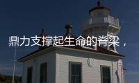 鼎力支撑起生命的脊梁，不求形式求本质